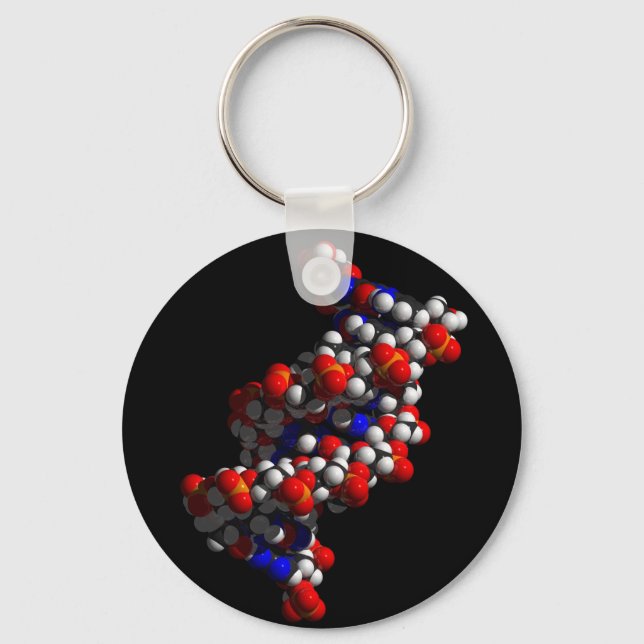 DNA Double Helix Model Keychain (Front)