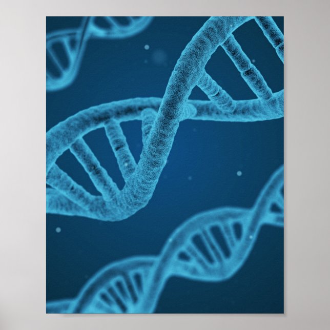 DNA Double Helix Poster (Front)
