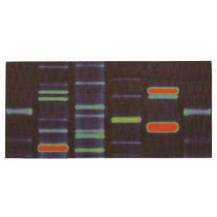 DNA Flashdrive Wood Flash Drive