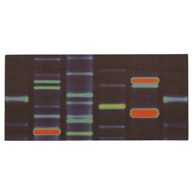 DNA Flashdrive Wood Flash Drive (Back)