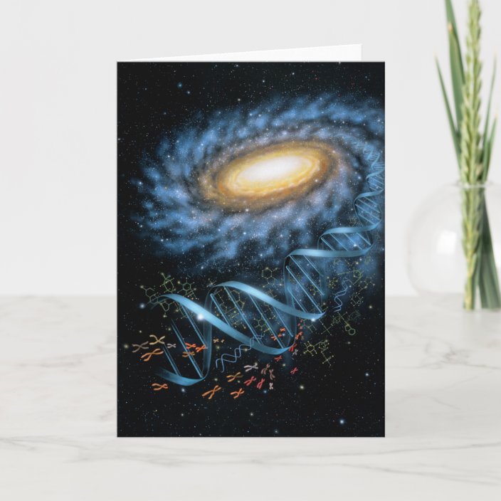 zazzle