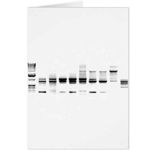 DNA Gel Cards (Front)
