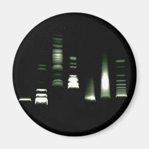 DNA Gel Electrophoresis Magnet