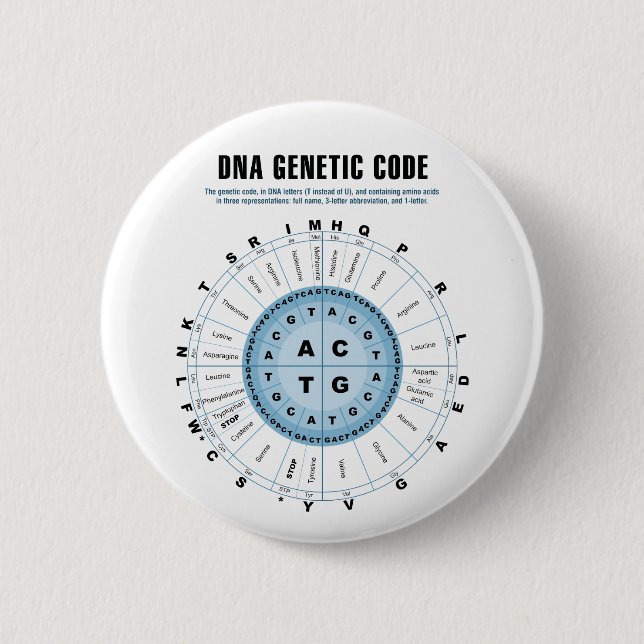 DNA Genetic Code Chart Button (Front)