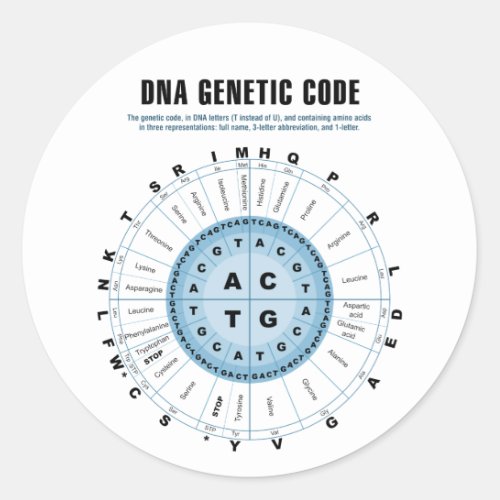 DNA Genetic Code Chart Classic Round Sticker