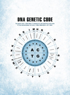 genetic code gifts on zazzle