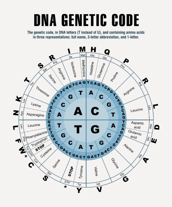 DNA Genetic Code Chart T Shirts