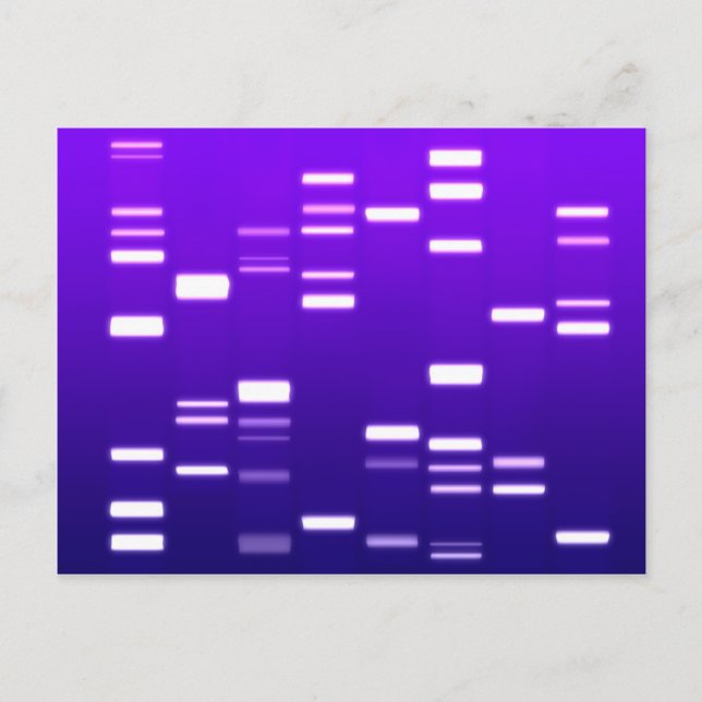 DNA Genetic Code Purple Postcard (Front)