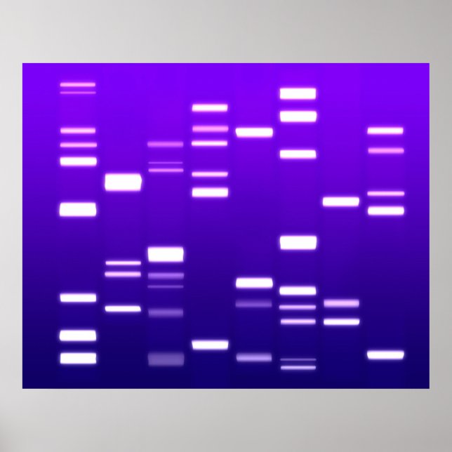 DNA Genetic Code Purple Poster (Front)