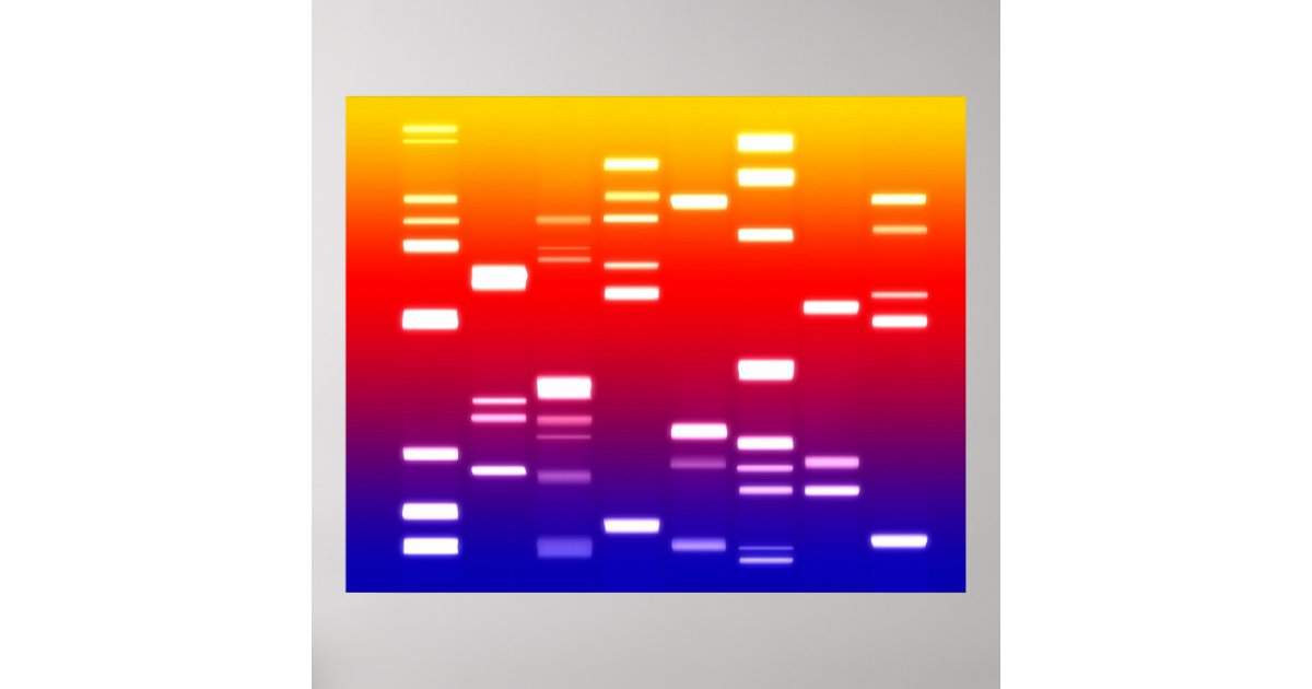 DNA Genetic Code Rainbow Poster | Zazzle