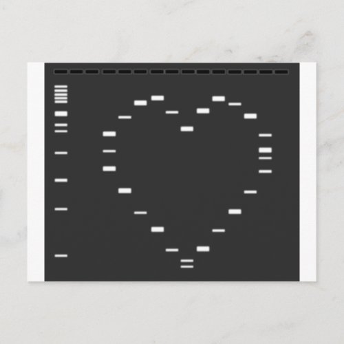 DNA heart on agarose gel Postcard