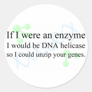 "DNA Helicase" Classic Round Sticker
