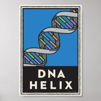 DNA Helix Poster