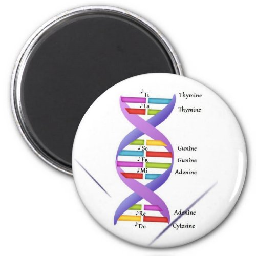 DNA Magnet