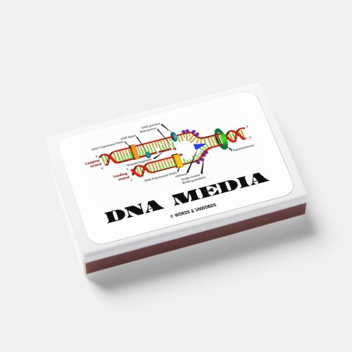 DNA Media Molecular Biology Humor Matchboxes