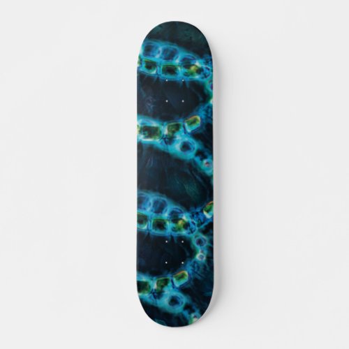 DNA MICROBIAL MISCROSCOPIC CELL STRAND SKATEBOARD