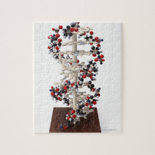 DNA Model Jigsaw Puzzle