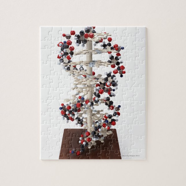 DNA Model Jigsaw Puzzle (Vertical)