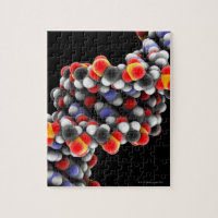 DNA molecule. Molecular model of DNA Jigsaw Puzzle