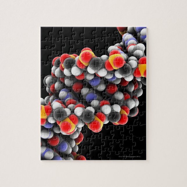 DNA molecule. Molecular model of DNA Jigsaw Puzzle (Vertical)