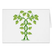 DNA plant concept (Front Horizontal)