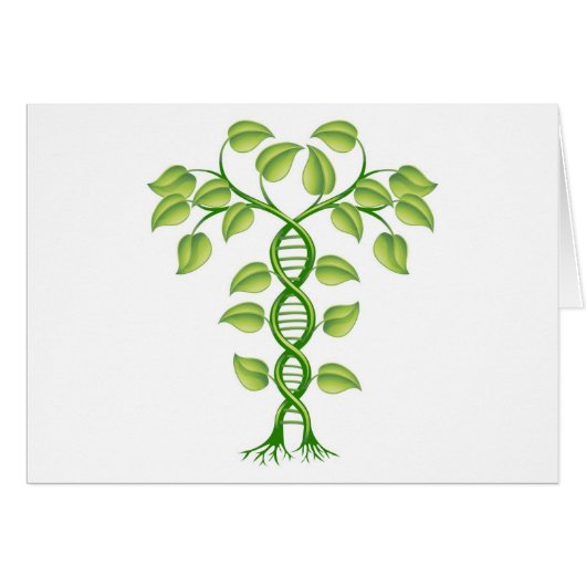 DNA plant concept (Front Horizontal)
