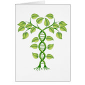 DNA plant concept (Front)