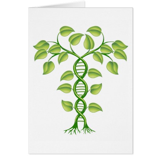 DNA plant concept Cards (Front)