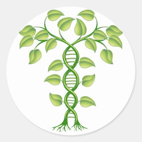 DNA plant concept Classic Round Sticker