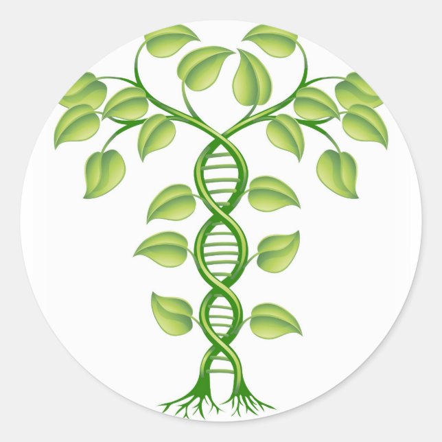 DNA plant concept Classic Round Sticker (Front)