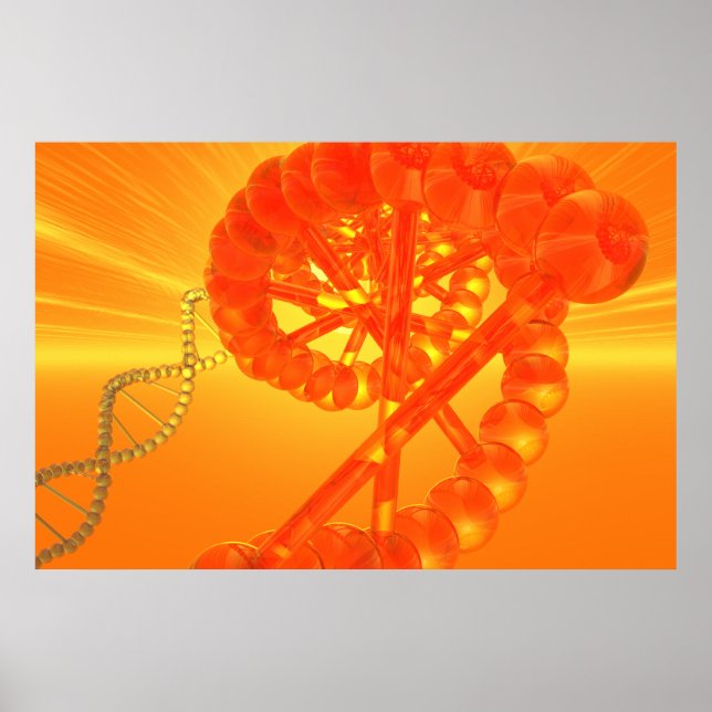 DNA poster (Front)