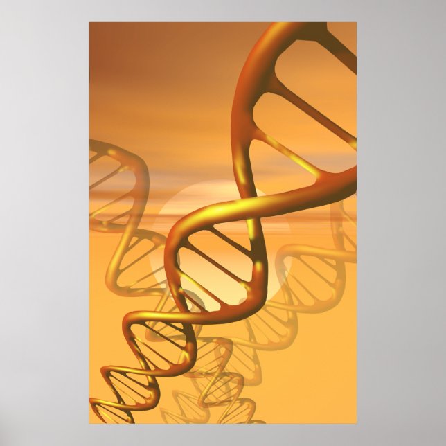 DNA poster (Front)