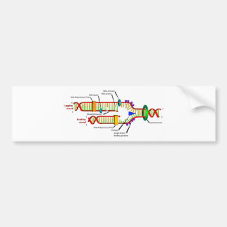 DNA replication Bumper Sticker