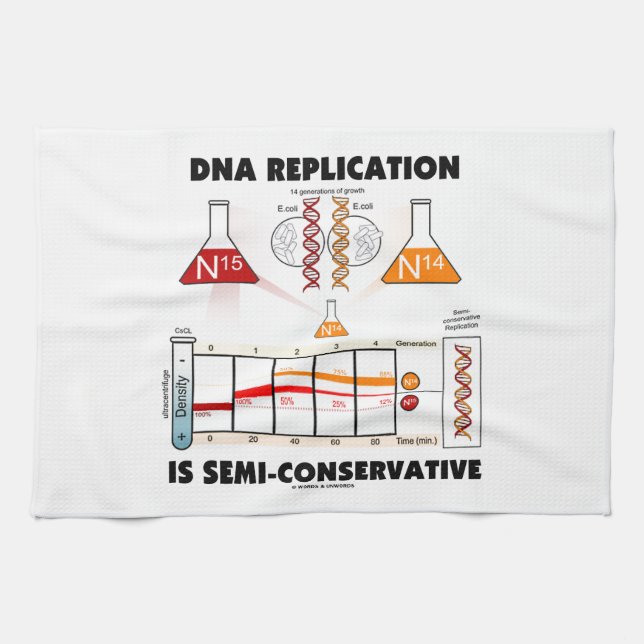 DNA Replication Is Semi-Conservative Towel (Horizontal)