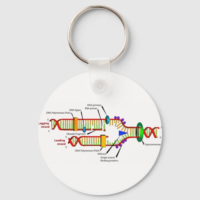 DNA replication Keychain (Front)