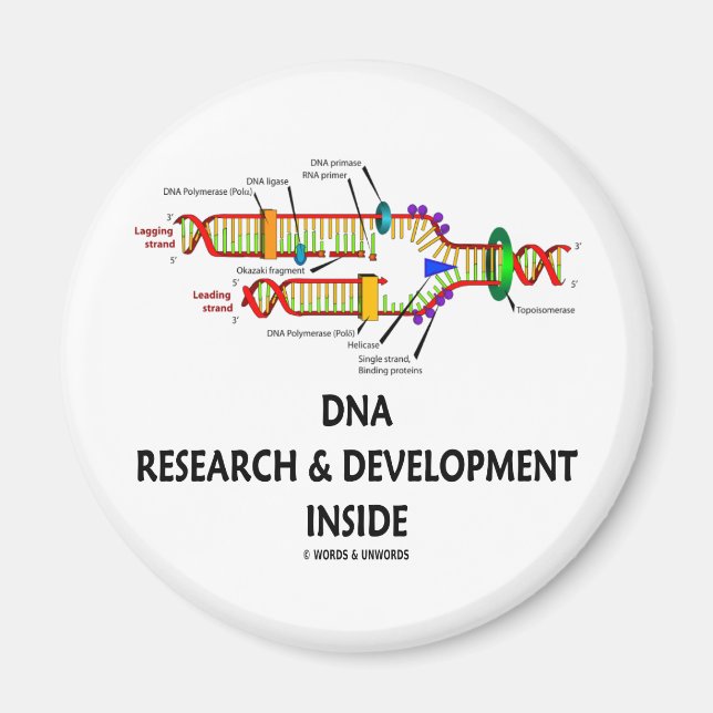 DNA Research & Development Inside Magnet (Front)