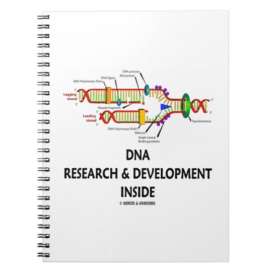 DNA Research & Development Inside Notebook