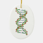 Dna - Science/scientist/biology Ceramic Ornament at Zazzle