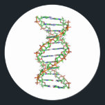 DNA - science/scientist/biology Classic Round Sticker<br><div class="desc">DNA - science/scientist/biology</div>