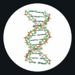 DNA - science/scientist/biology Classic Round Sticker<br><div class="desc">DNA - science/scientist/biology</div>