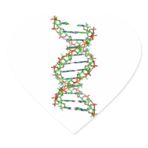 DNA - science/scientist/biology Heart Sticker