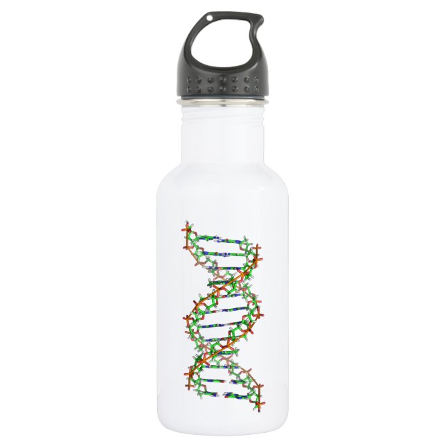 DNA - science/scientist/biology Stainless Steel Water Bottle (Front)