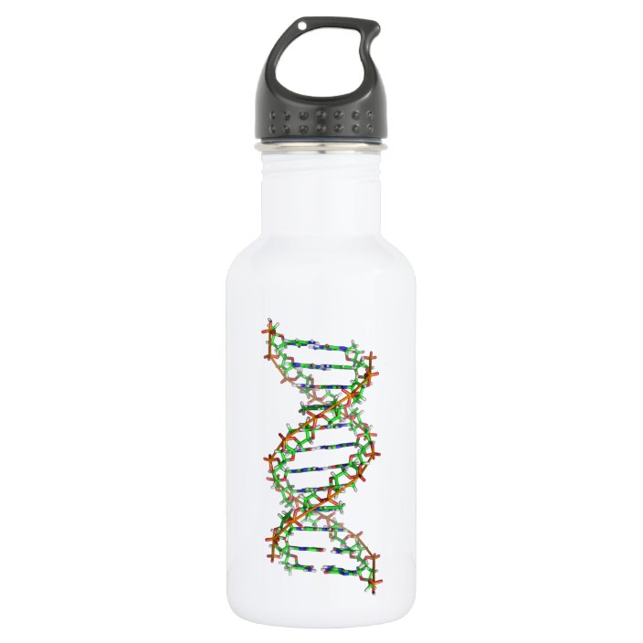 DNA science/scientist/biology Stainless Steel Water Bottle