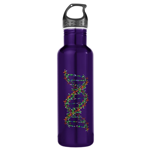 DNA - science/scientist/biology Stainless Steel Water Bottle (Front)