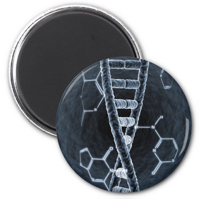 DNA strand Magnet (Front)