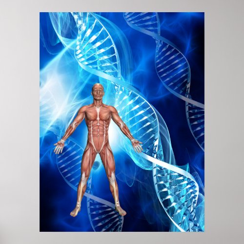 DNA Strand  Poster