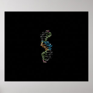 DNA Strand Poster