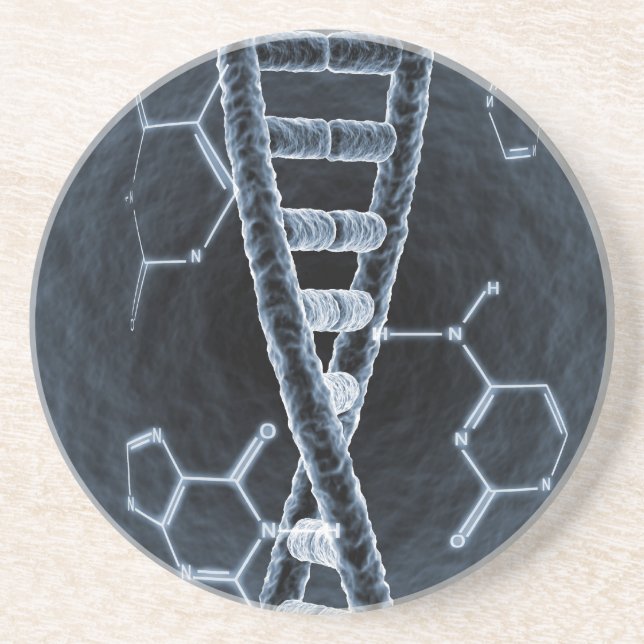 DNA strand Sandstone Coaster (Front)