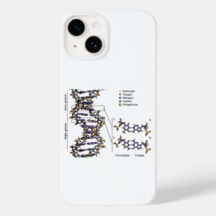 DNA Structure Deoxyribonucleic Acid Bases Diagram Case-Mate iPhone 14 Case