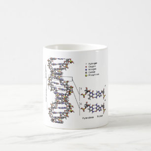 DNA Structure Deoxyribonucleic Acid Bases Diagram Coffee Mug